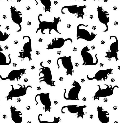 Paradox - cats black