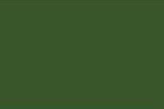 dark-pine-green780 Quiltgarn Cotona 30 - dark pine green 780