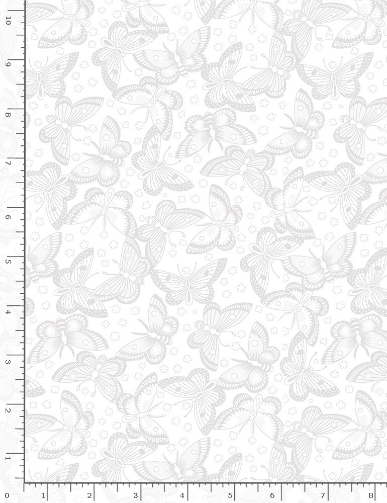Butterfly white on white  Butterfly white on white
