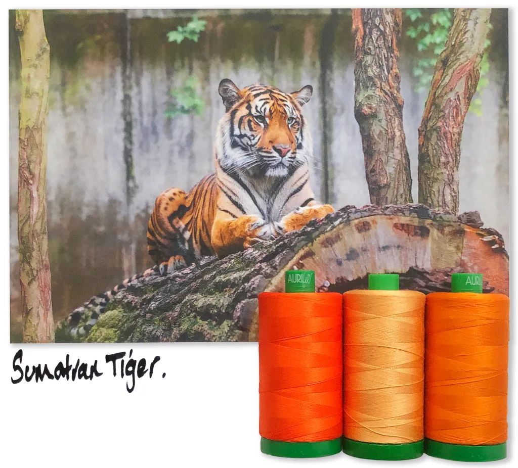 Sumatran Tiger von Aurifil 