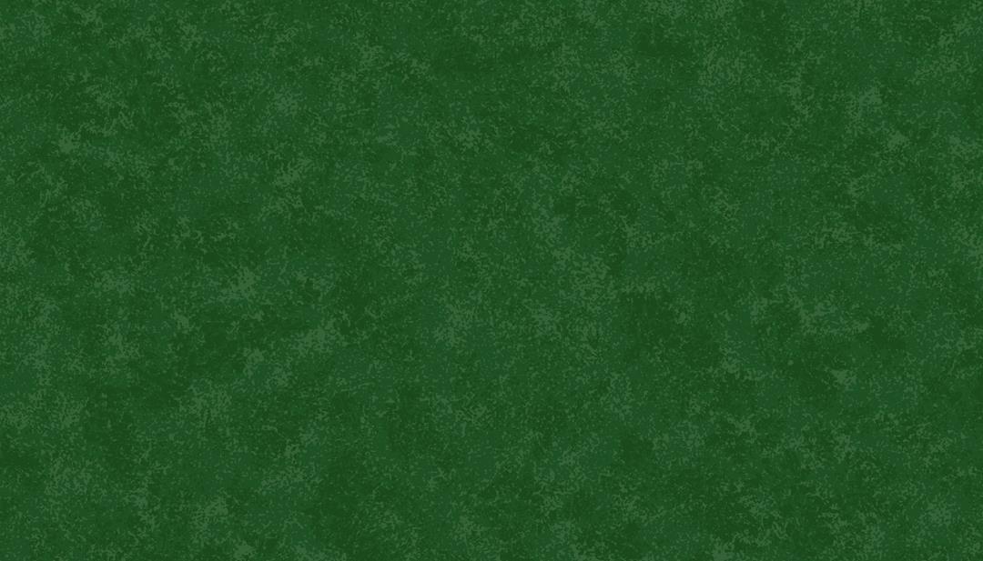 2800_G67_Spraytime Spraytime Christmas green