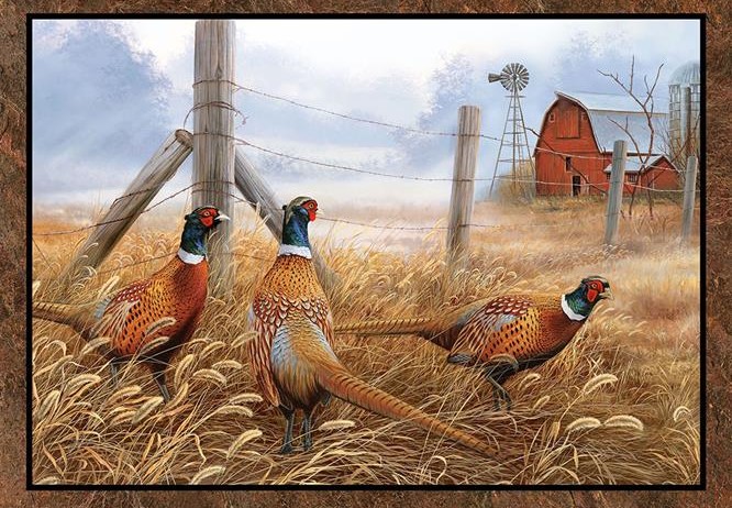 NATURESCAPES PHEASANT Grove