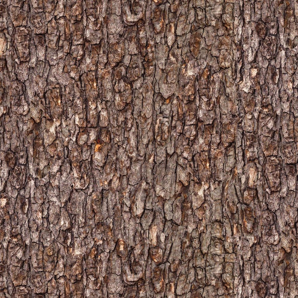 LANDSCAPE MEDLEY, BARK brown