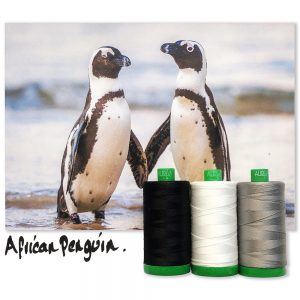 African Penguin von Aurifil African Penguin von Aurifil