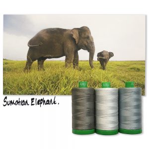 Sumatran Elephant von Aurifil Sumatran Elephant von Aurifil