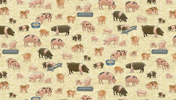 2292_1_Pigs-600x342 Village Life Pigs